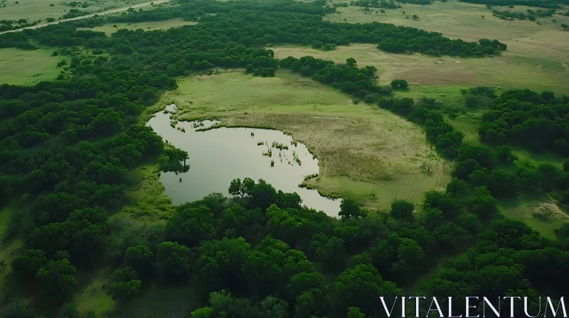 AI ART Scenic Forest Lake from Above