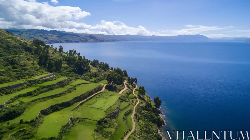 Hillside Terraces and Tranquil Lake AI Image