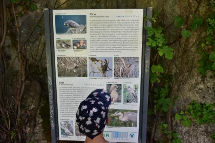 Bird Educational Sign in Croatia's Krka Park