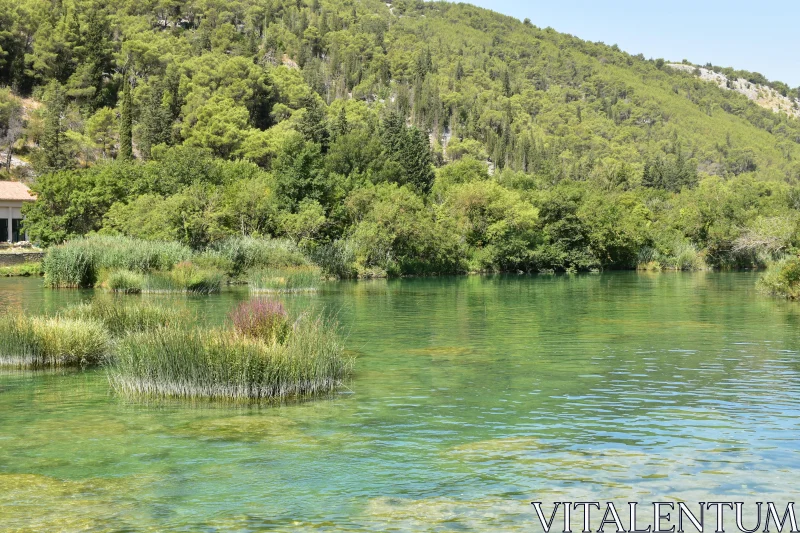 PHOTO Calm Waters and Forested Hills