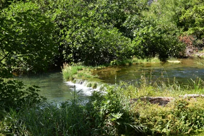 Peaceful Flowing Stream in Forest