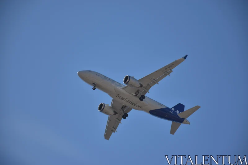 SAS Airplane in Flight Free Stock Photo