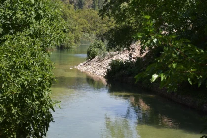 Calm River and Verdant Surroundings