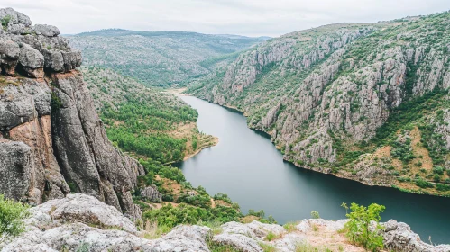 Majestic River Winding Through Rocky Canyon