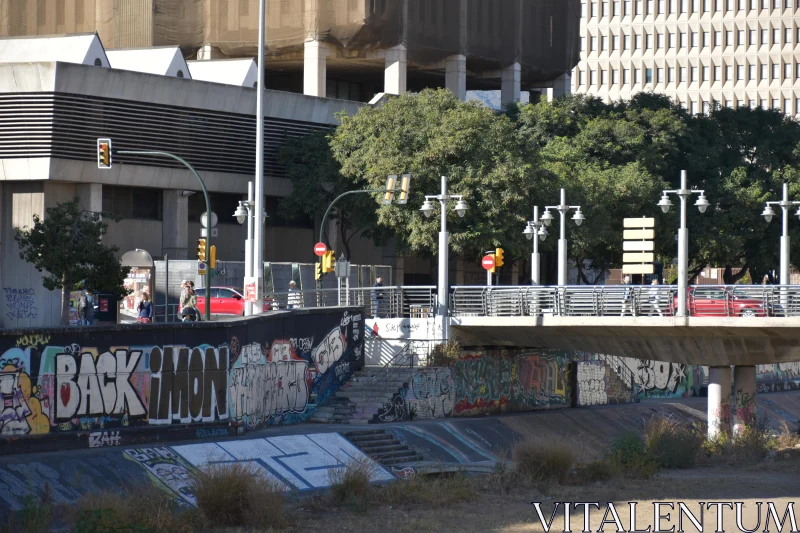 PHOTO Graffiti-Clad City Bridge