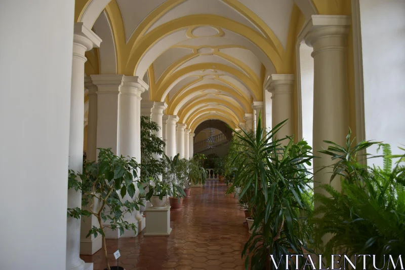 Peaceful Arched Hallway with Vibrant Plants Free Stock Photo