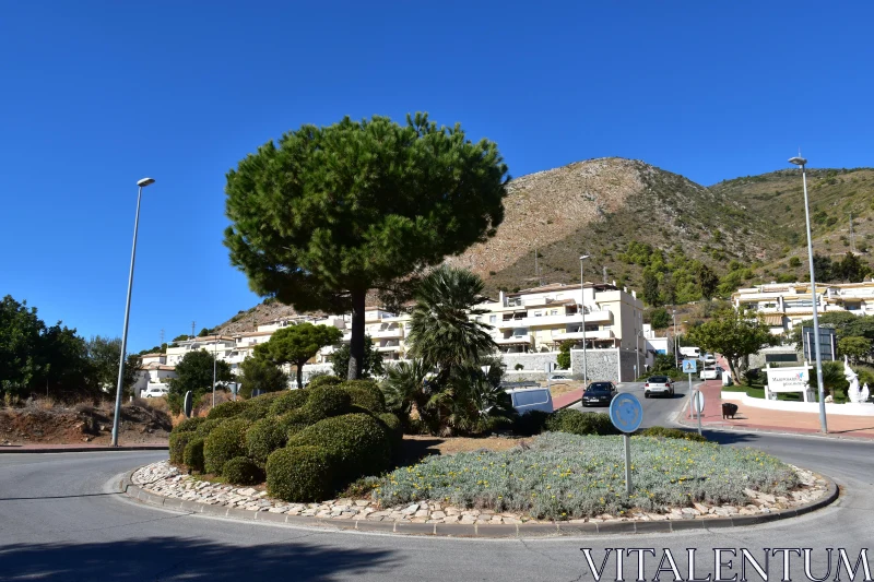 Suburban Scenic Roundabout Free Stock Photo