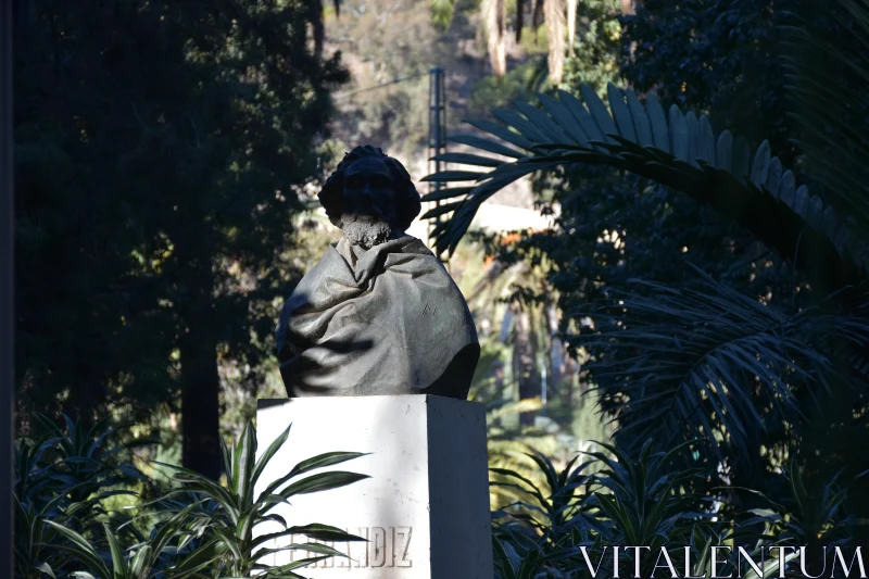 PHOTO Sculpted Statue in a Garden Environment