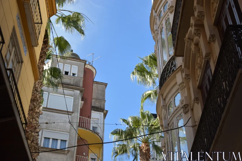 Elegant Urban Architecture and Palms Free Stock Photo