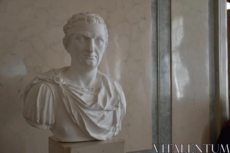 PHOTO Classical Marble Bust Art