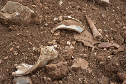 Earthen Ceramic Fragments