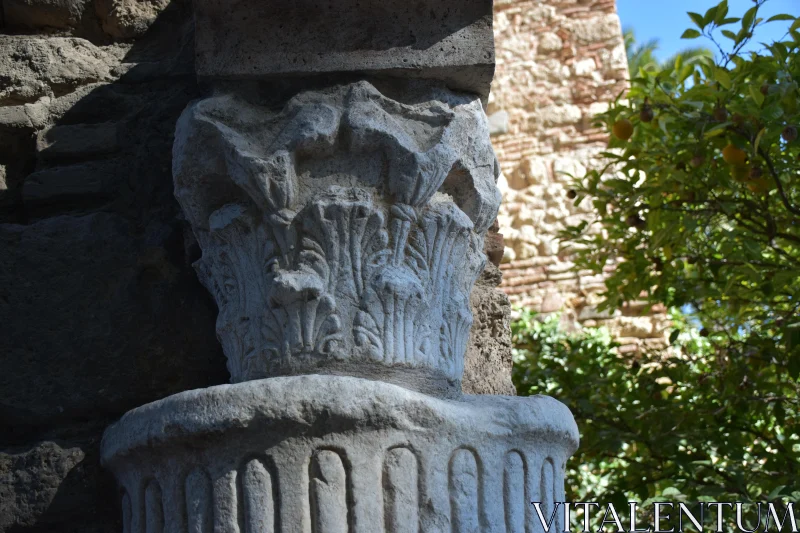 PHOTO Detailed Ancient Column with Carvings