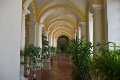 Peaceful Arched Hallway with Vibrant Plants