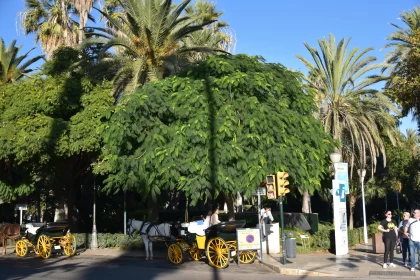 City Scene with Carriages and Palms