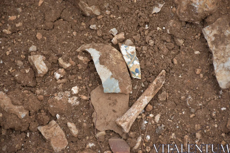 Scattered Pottery and Bones in Soil Free Stock Photo