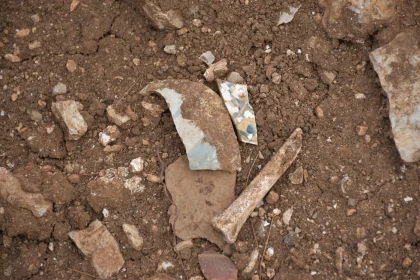 Scattered Pottery and Bones in Soil