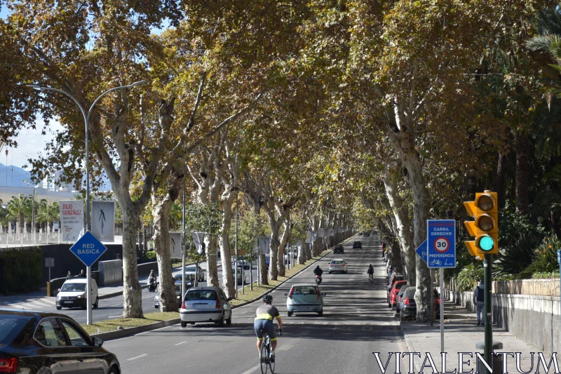 Bustling City Street with Cars and Cyclists Free Stock Photo