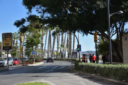 City Life with Palm Trees and Cars