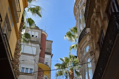 Elegant Urban Architecture and Palms