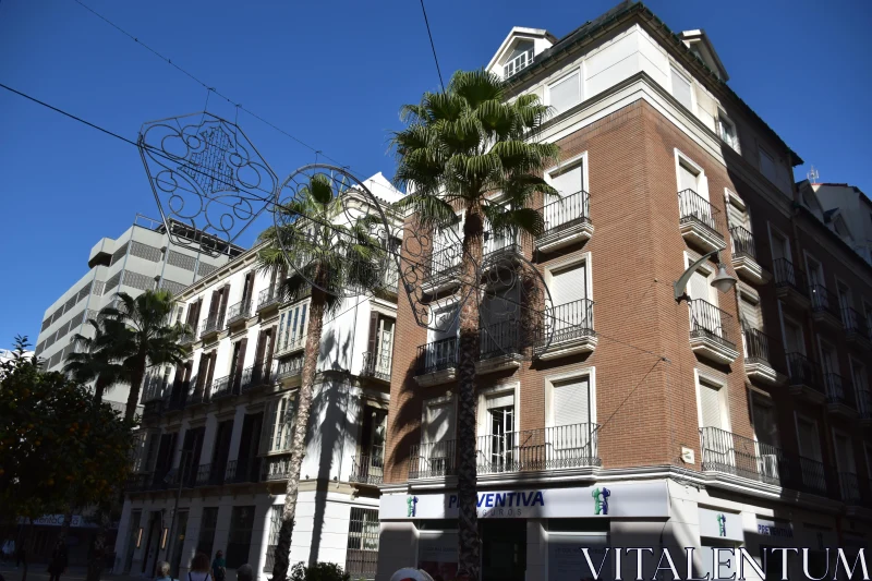 PHOTO Spanish Urban Scene with Palm Trees and Balconies