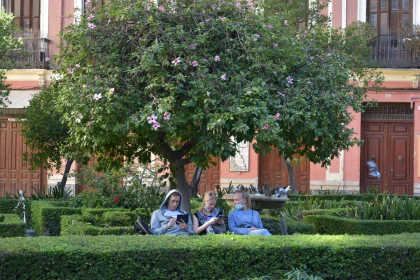 Peaceful Moment in City Park