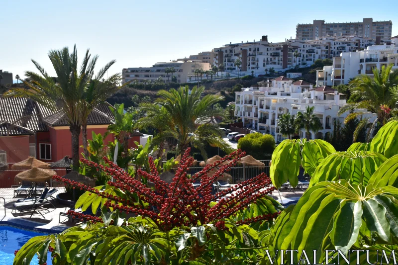 Scenic Spanish Urban Oasis Free Stock Photo