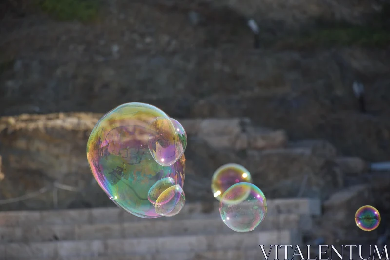 Translucent Soap Bubbles in Natural Setting Free Stock Photo