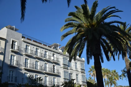 City Streetscape with Palms and Balconies