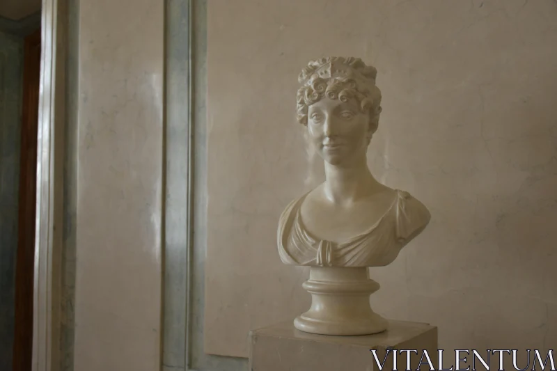 PHOTO Classical Marble Bust Display