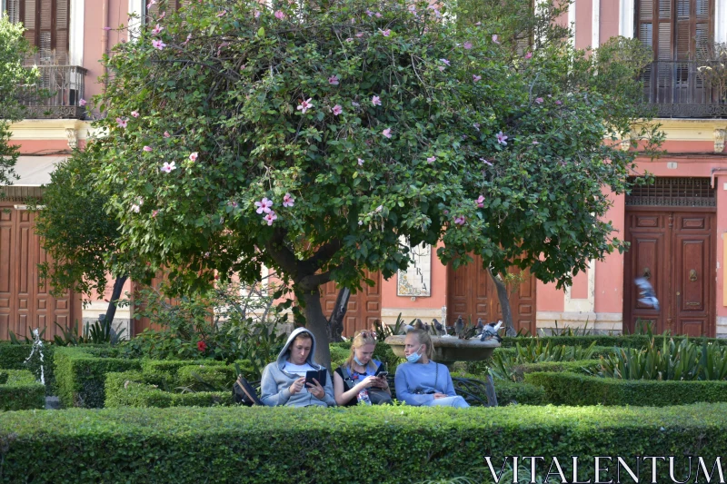 Peaceful Moment in City Park Free Stock Photo