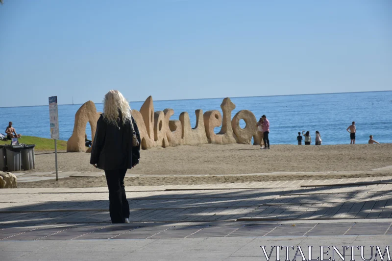 Strolling at Malagueta Beach Free Stock Photo