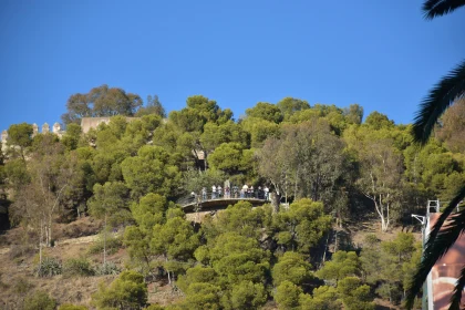 Forest Hill with Arched Bridge