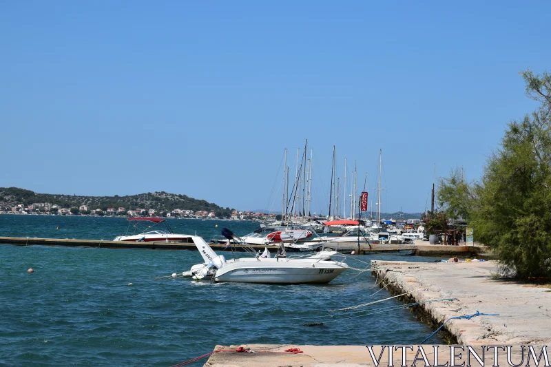 PHOTO Coastal Harbor Scene with Boats