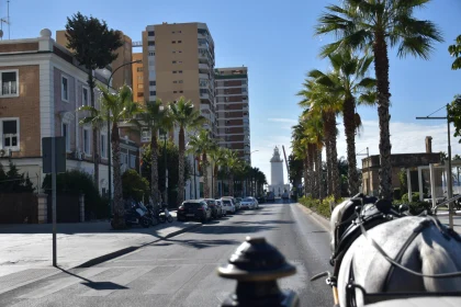 Malaga Urban Scene with Palm-Lined Street