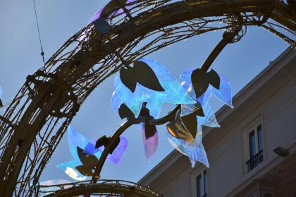 Translucent Leaf Structure Against Blue Sky