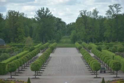 Serene Symmetrical Garden Landscape