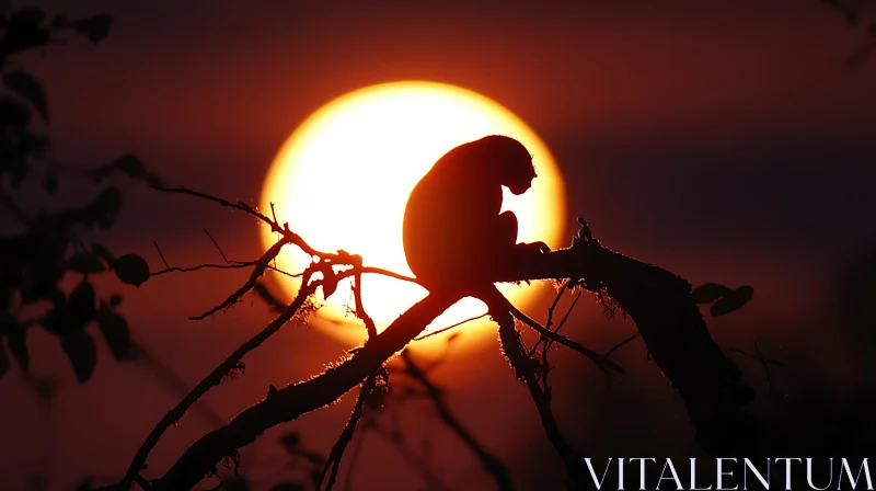 Silhouette of Monkey During Sunset AI Image