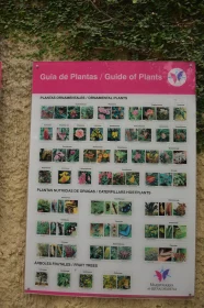 Detailed Plant Information Board