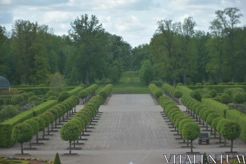 PHOTO Serene Symmetrical Garden Landscape