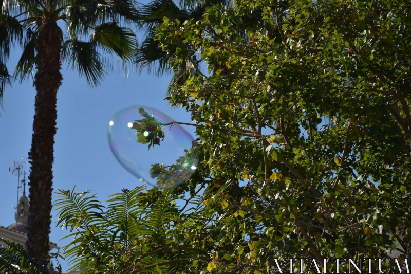 PHOTO Bubble Reflections in Nature