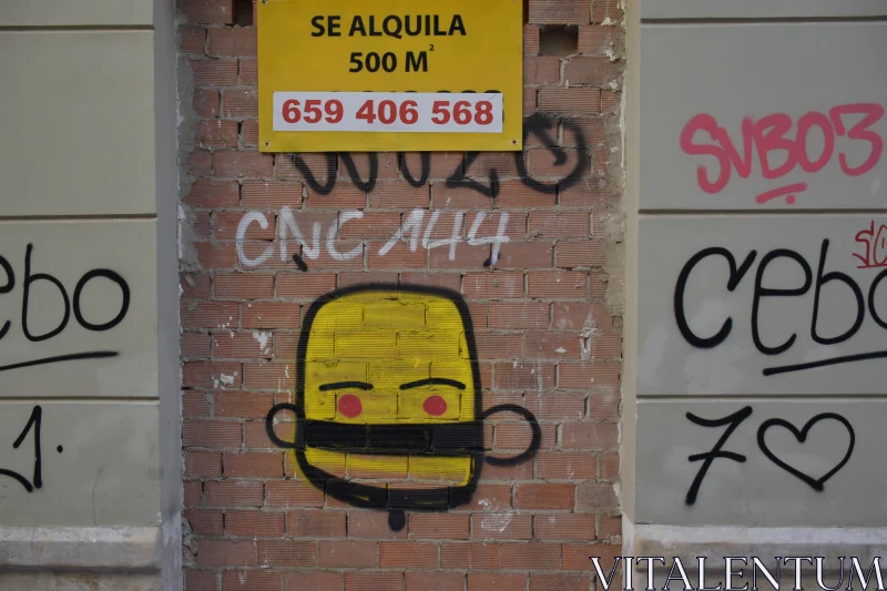 PHOTO Street Art Yellow Face