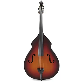 Classic Double Bass with Rich Wooden Texture