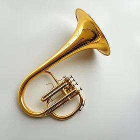 A Glimmering Brass French Horn Display