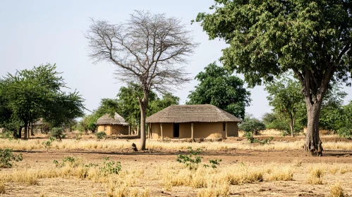 Peaceful Village Scene with Rustic Huts