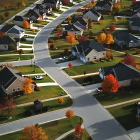 Autumn Suburb Aerial Photograph