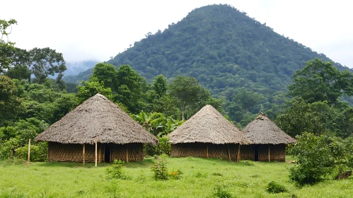 Remote Thatched Huts Amidst Green Mountains and Forest