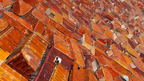 Aerial Perspective of Urban Terracotta Rooftops