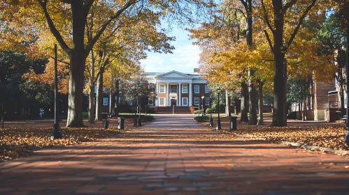 Autumn University Grounds