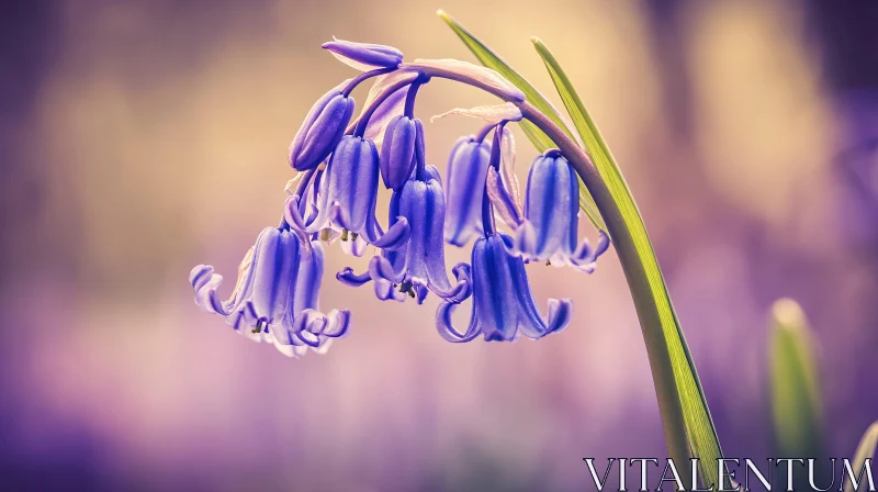 AI ART Detailed Bluebell Blossom Photography