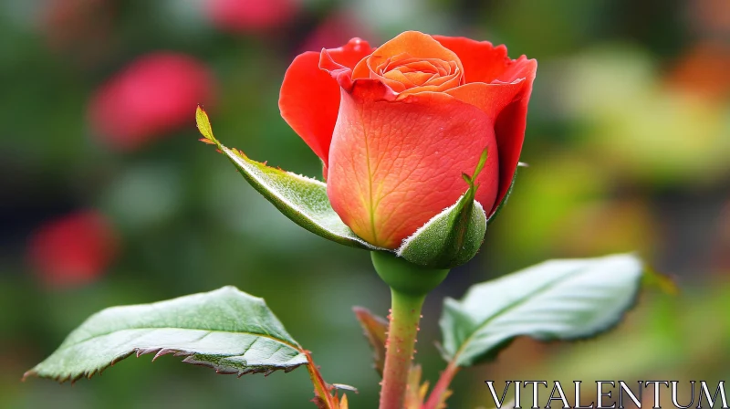 AI ART Orange Rose Bud with Green Leaves